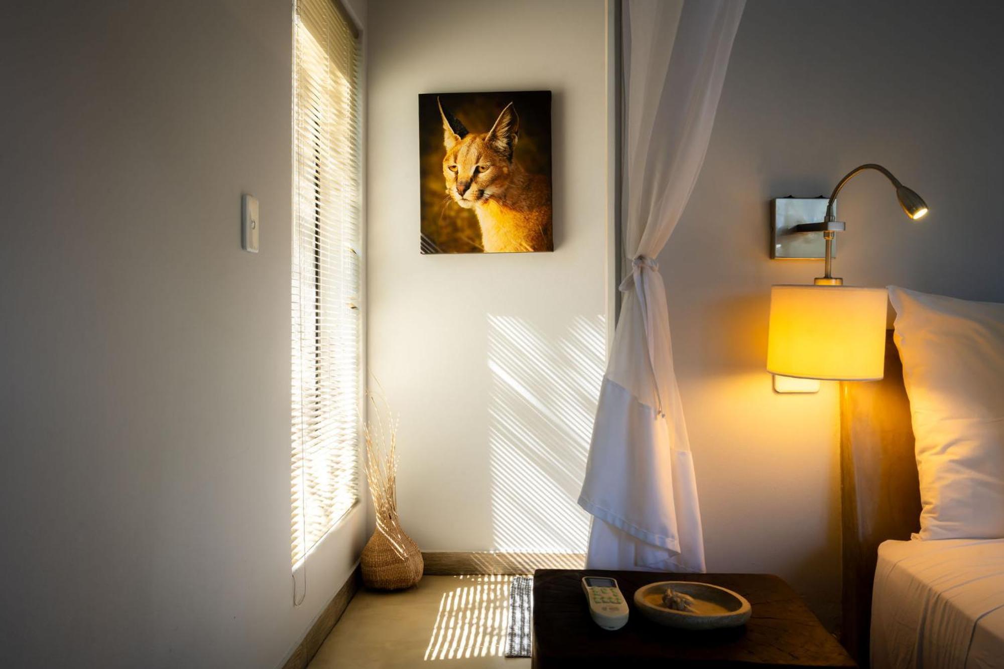 Rafiki Bush Lodge Hoedspruit Bagian luar foto